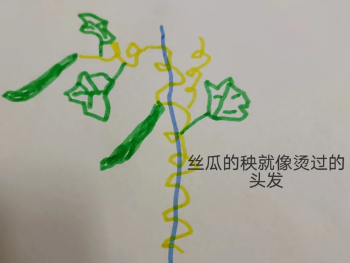 upfile